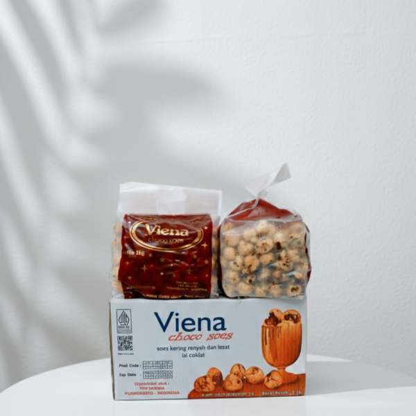 Gemini_Generated_Image_2fhxbb2fhxbb2fhx SOES VIENNA